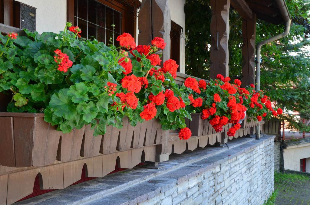 Garni Sayonara Bed & Breakfast San Vigilio Di Marebbe Exterior photo
